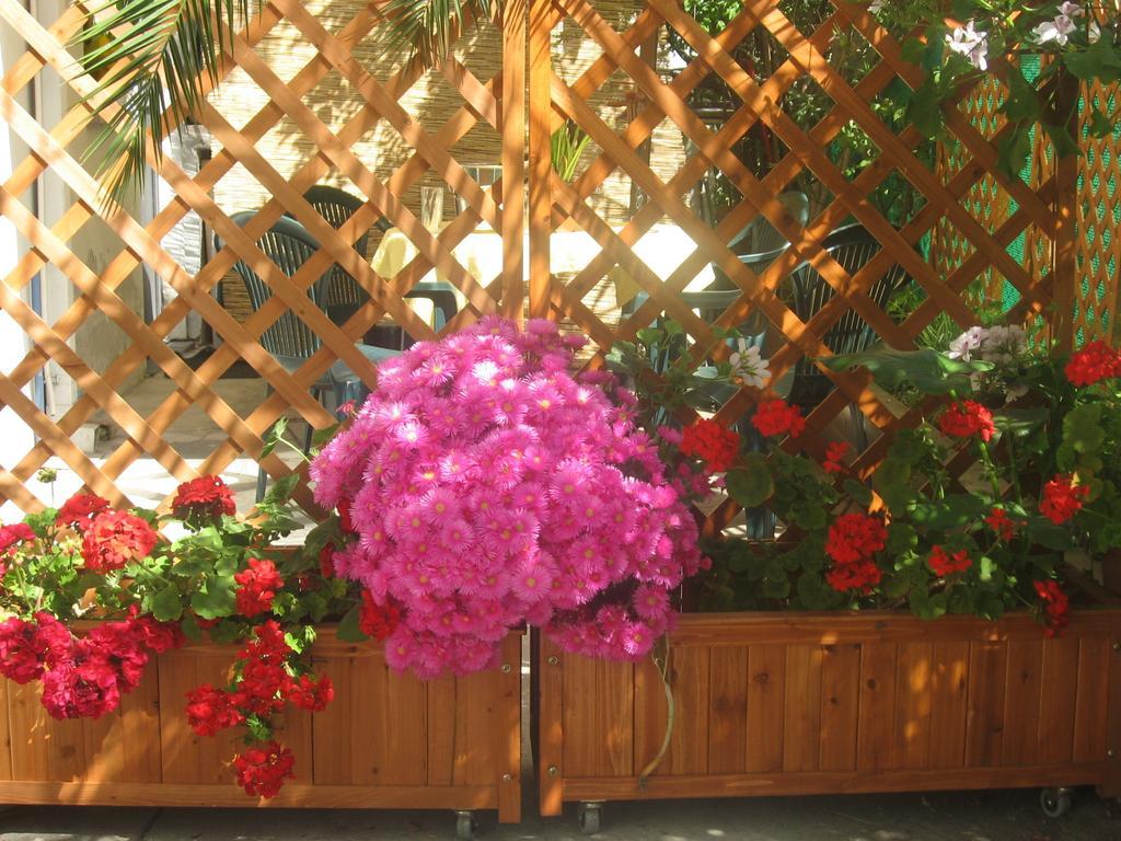 Casa Etna-Mare Apartment Santa Venerina Bilik gambar